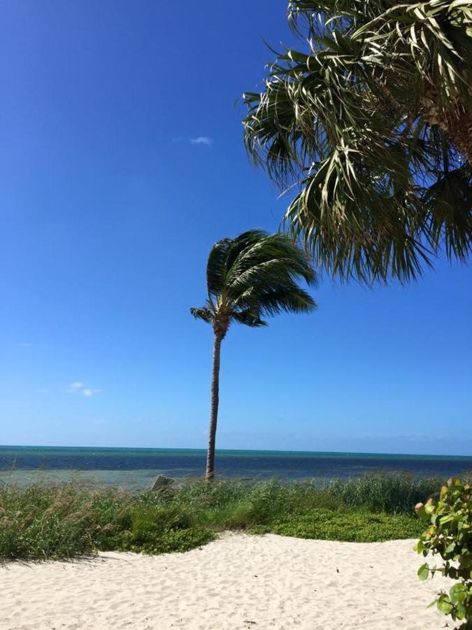 Paradise Found Cayo Hueso المظهر الخارجي الصورة