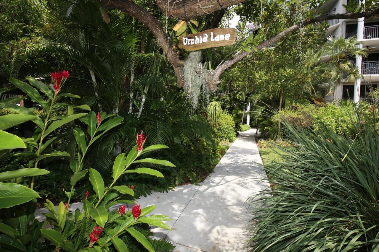 Paradise Found Cayo Hueso المظهر الخارجي الصورة
